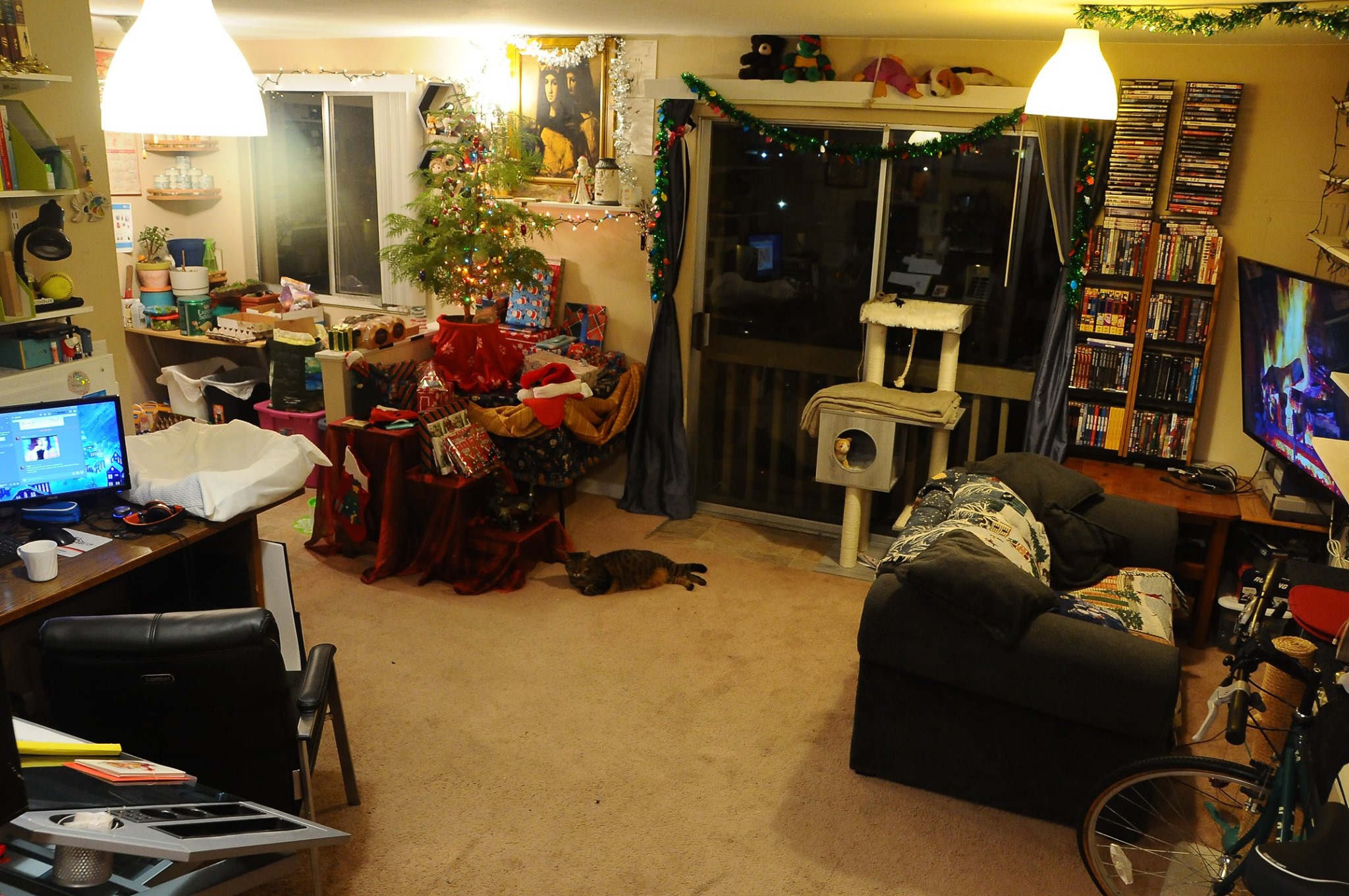 Living room in 2019, at a much wider angle than before! (I was working as a photographer, and had enough seniority at this point that nobody questioned it when I decided to keep my gear over the Christmas break.) Morrie's easel has been replaced by an angled art desk, and our cat Ritzville lounges in center frame.