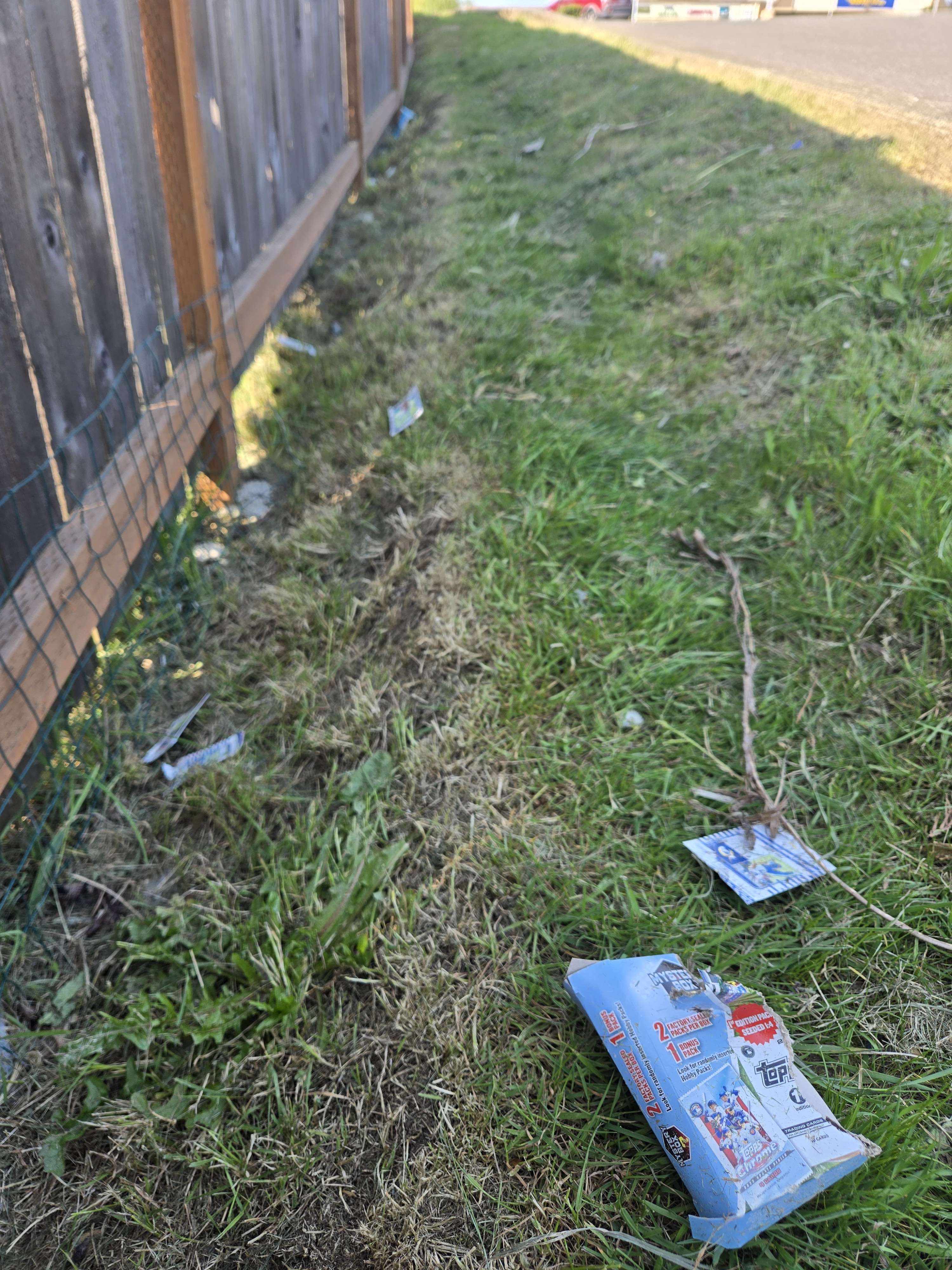 In the patch of grass where I always find cards, going into the old grocery outlet parking lot A bad photograph of a torn open Tops baseball card box. The cards are strewn widely over a strip of grass.