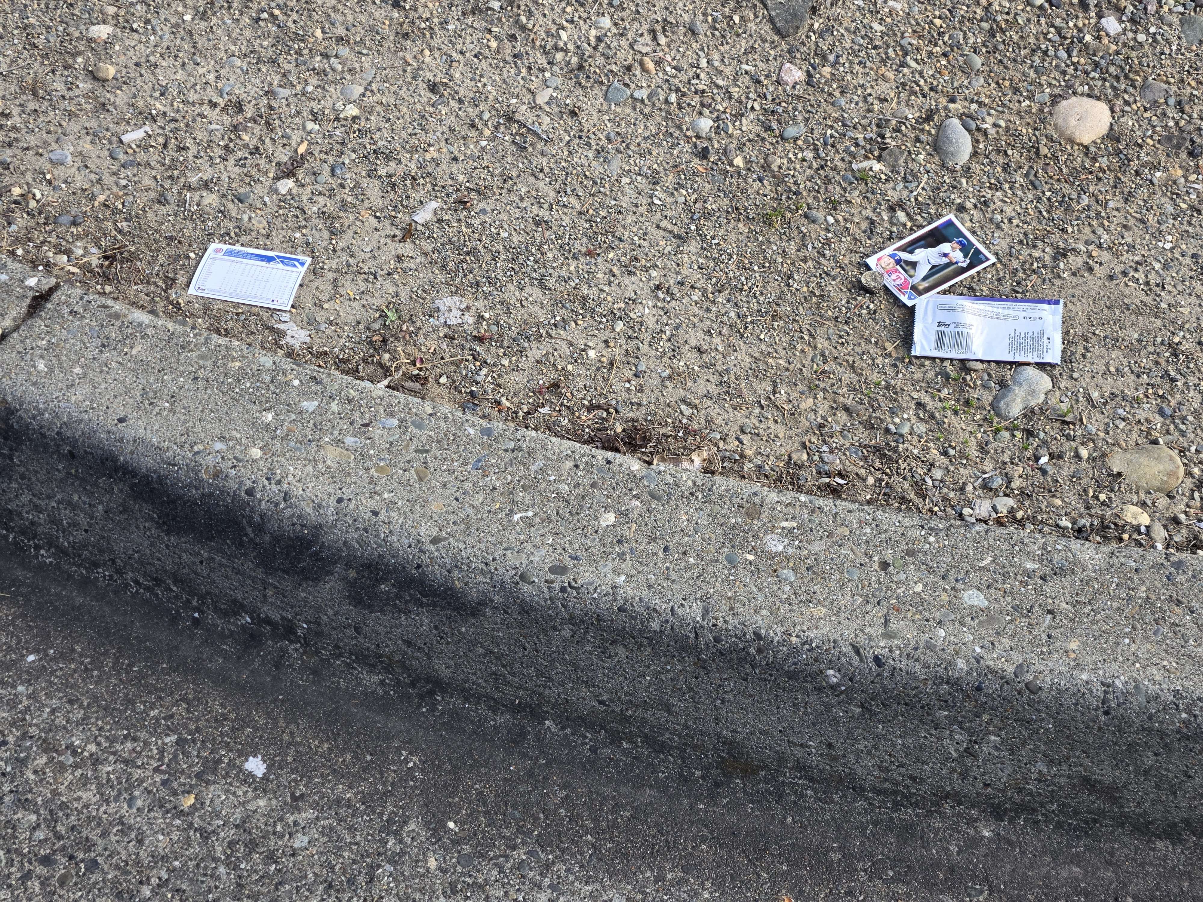 By the Sylvan way driveway into the Walgreen's parking lot Photograph of a stack of fresh baseball cards in a patch of dirt by a curb.