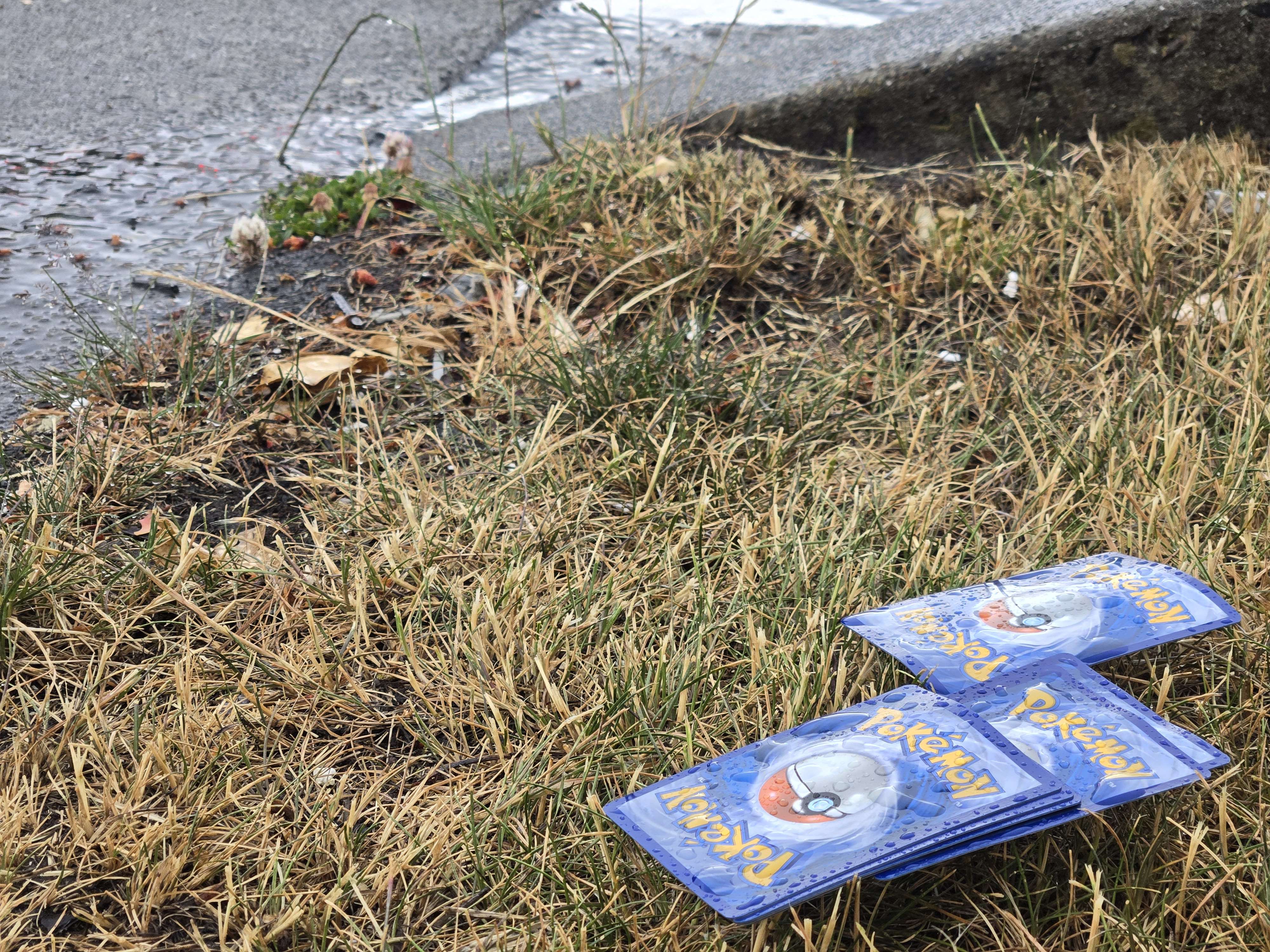 scattered pokemon cards, face down, wet with fresh rain