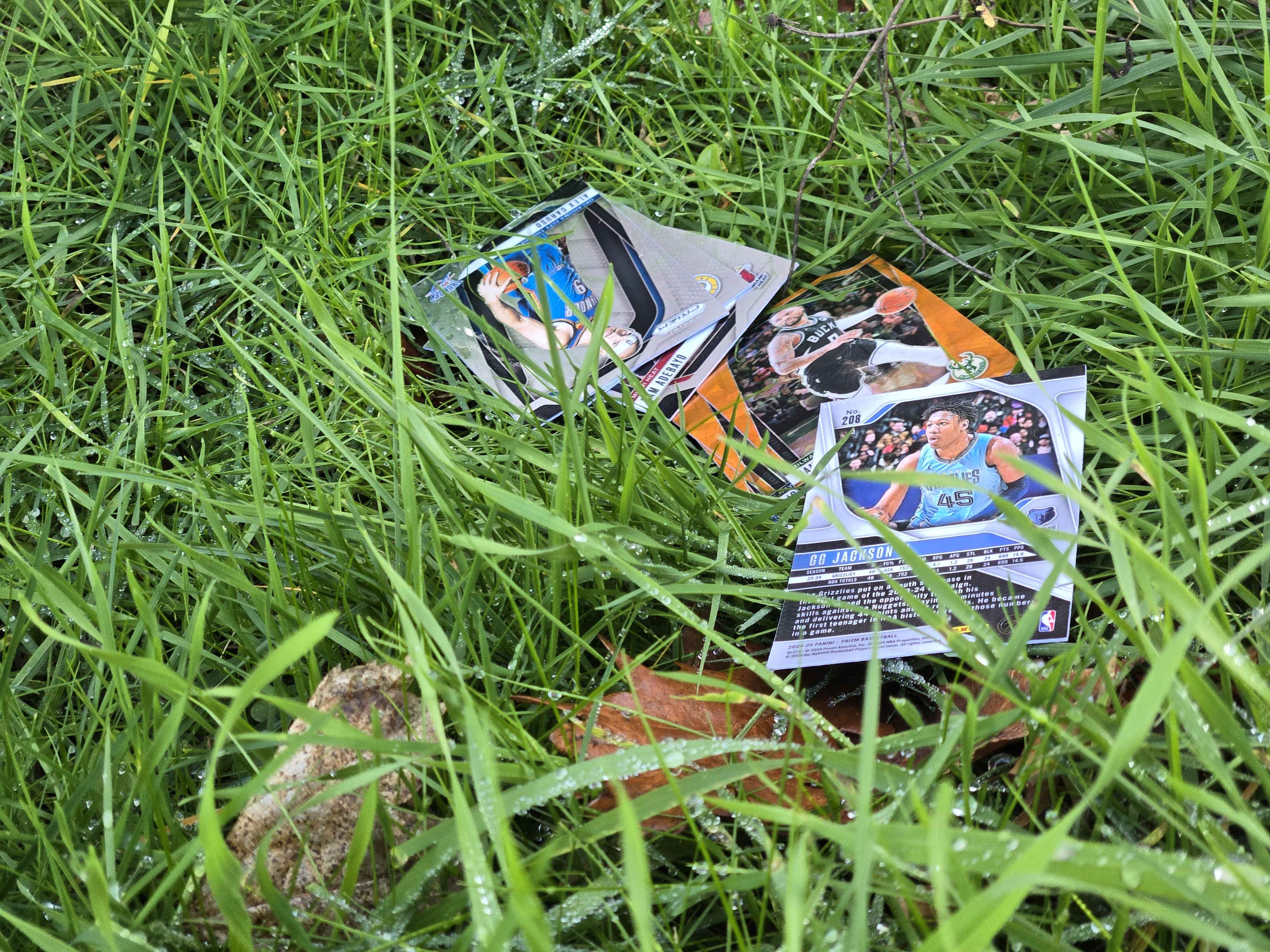 Still more wet cards in grass.
